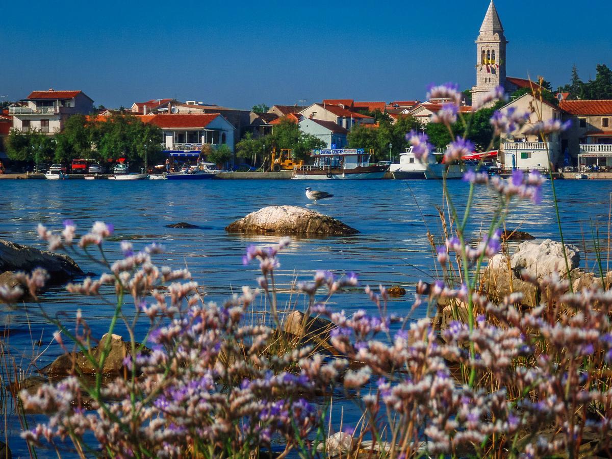 باكوشتاني Villa Ljubica المظهر الخارجي الصورة